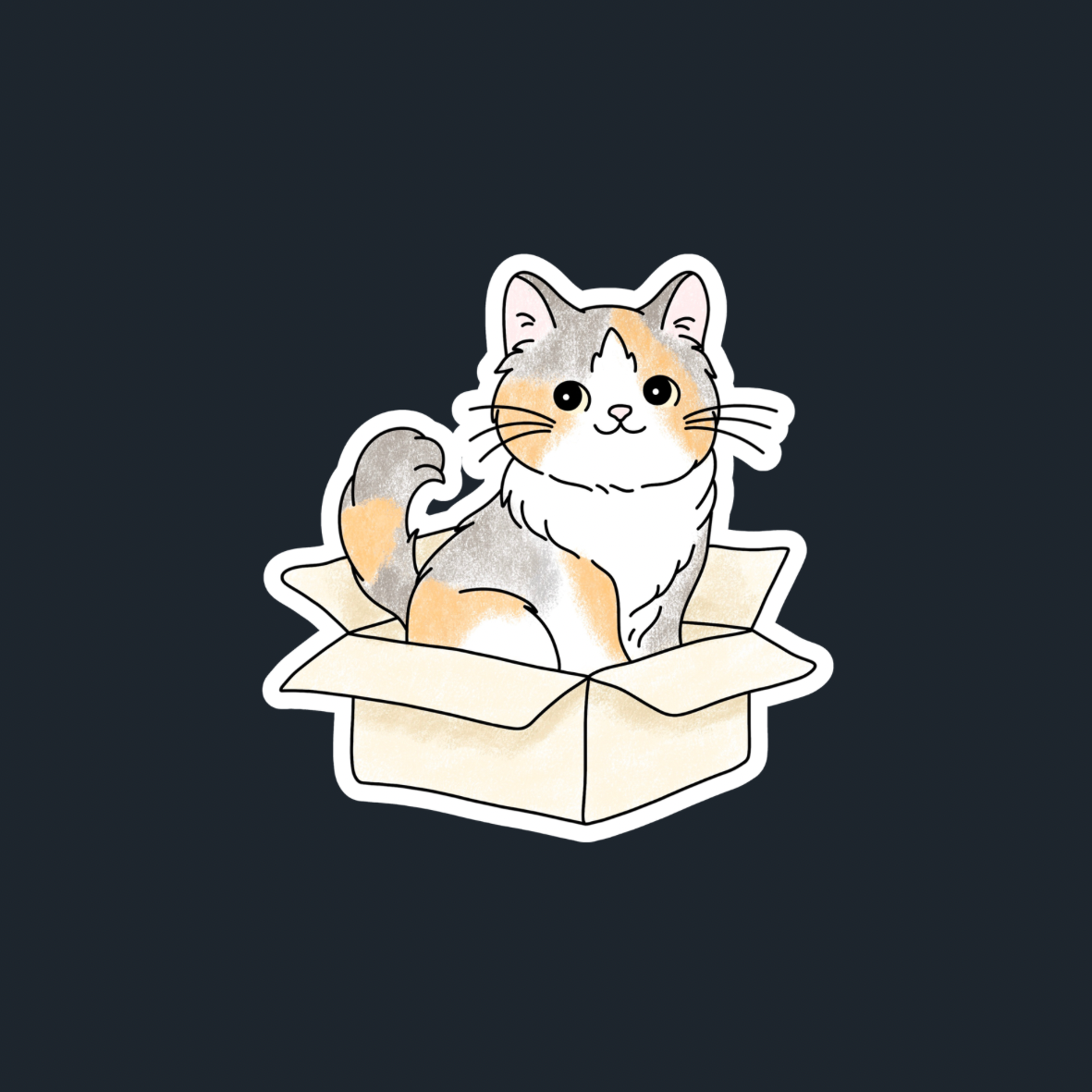 Sticker 9: DSH in Box