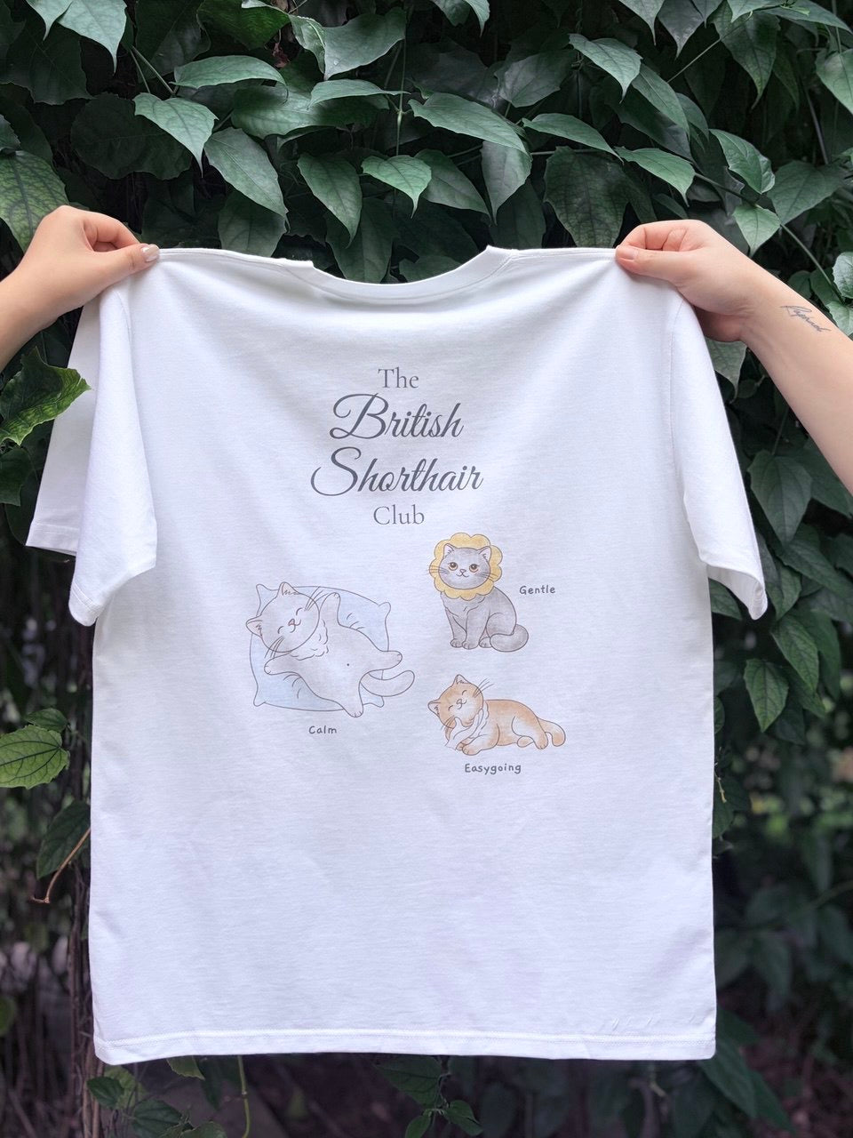 The British Shorthair Club