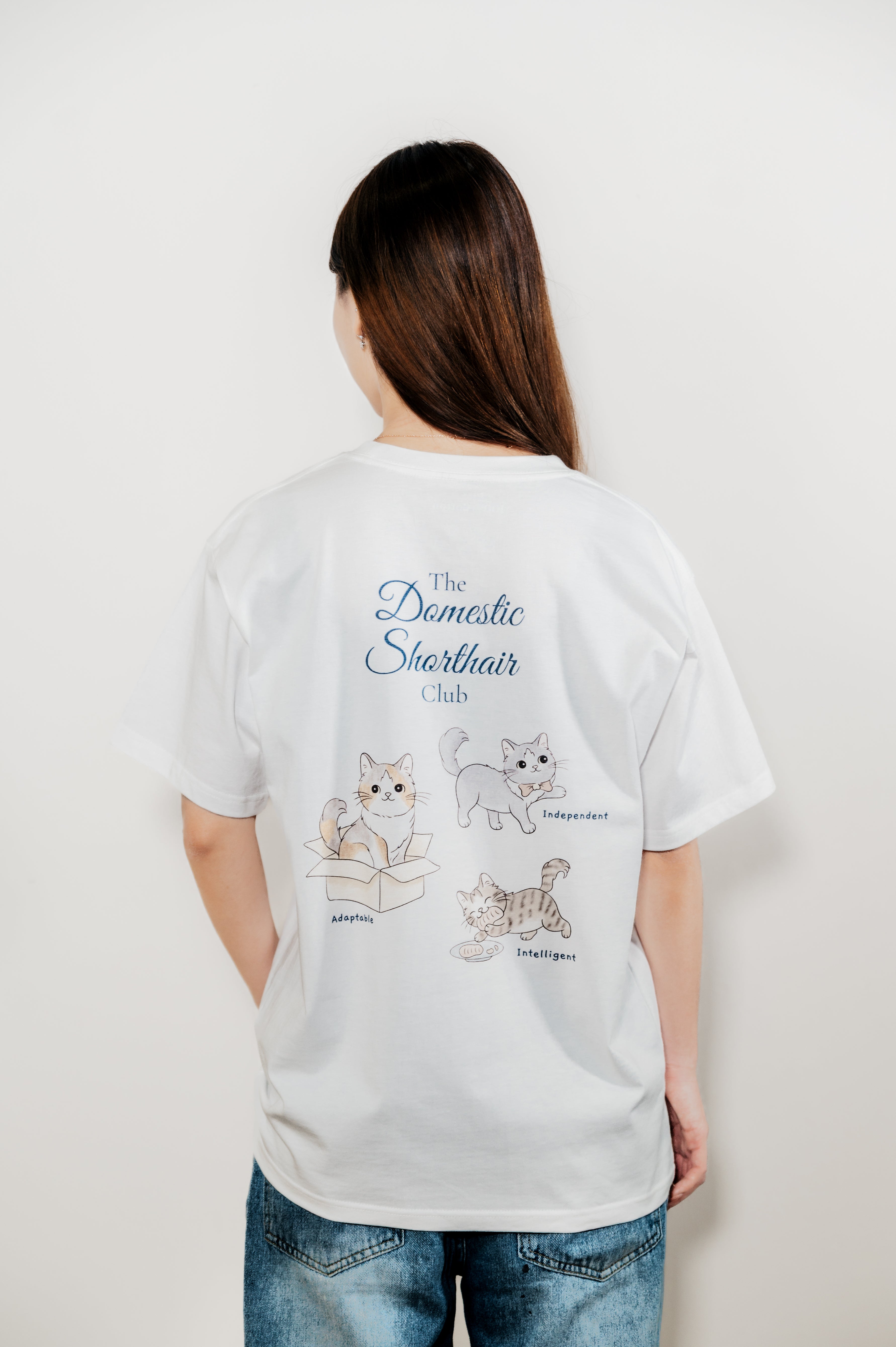 The Domestic Shorthair Club