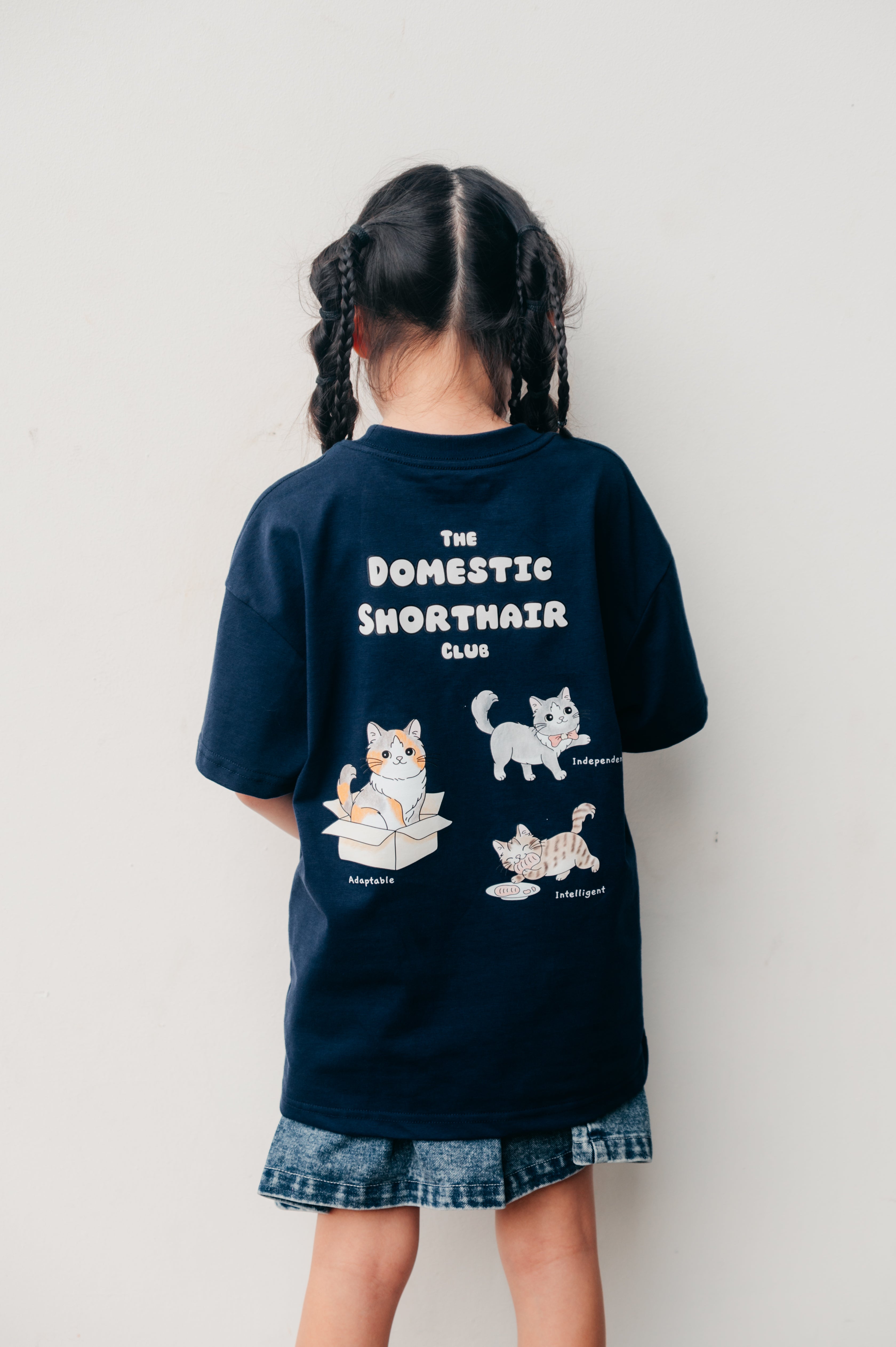[Kids] The Domestic Shorthair Club