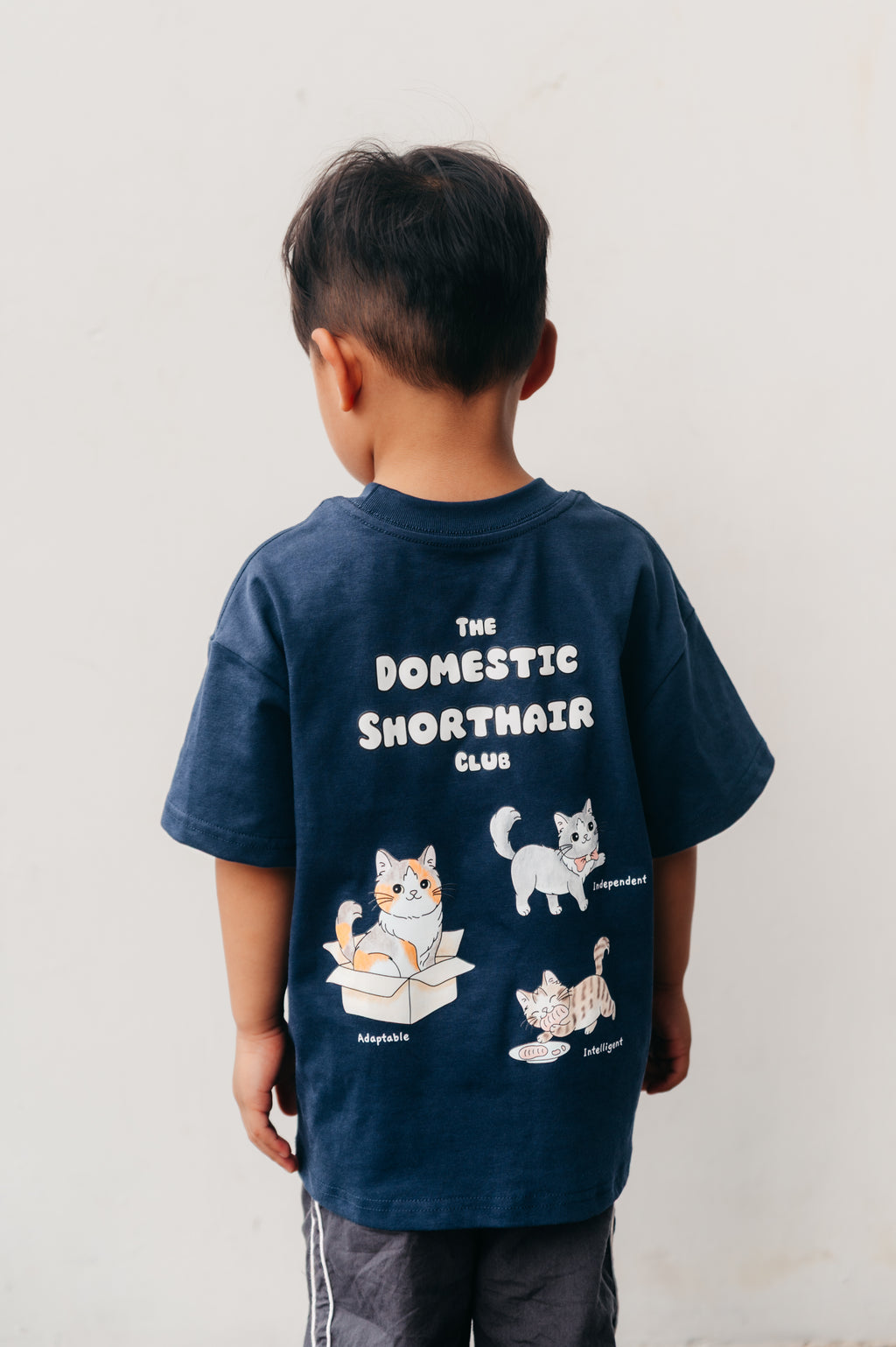 [Kids] The Domestic Shorthair Club