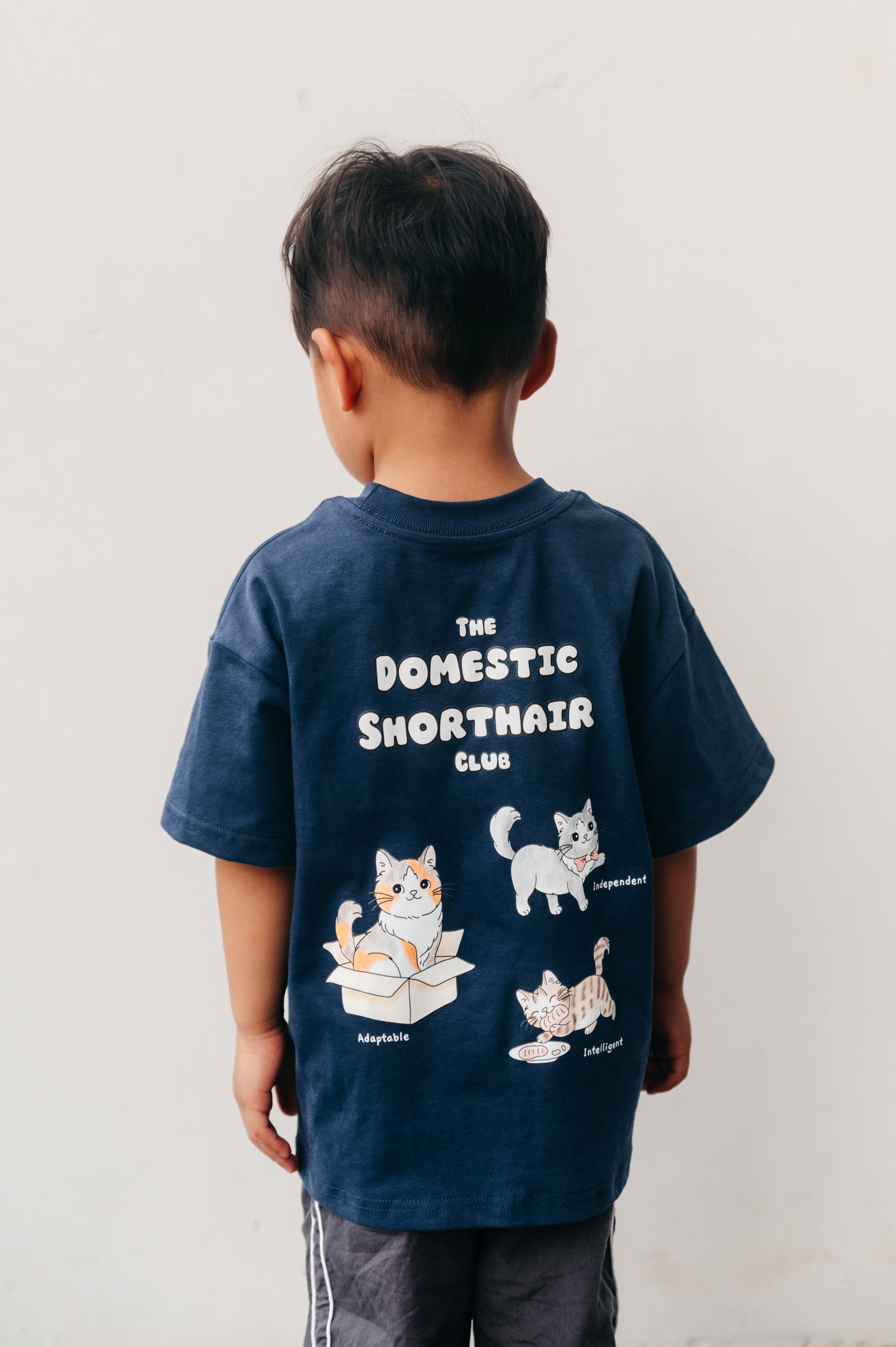 [Kids] The Domestic Shorthair Club