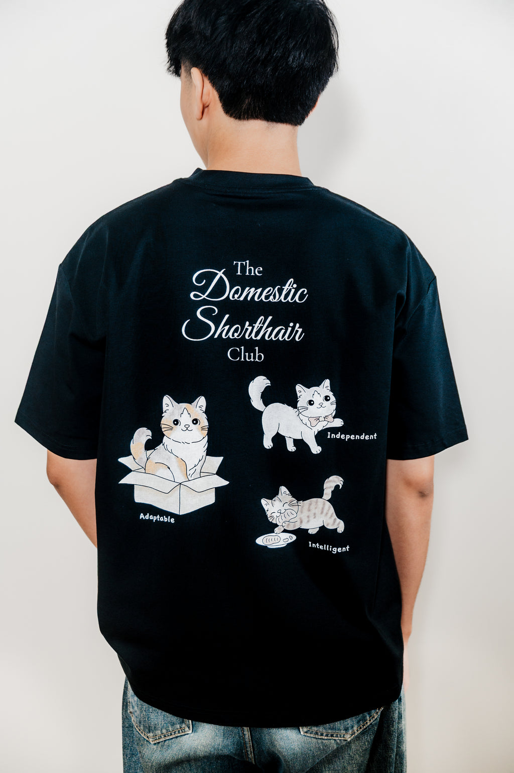 The Domestic Shorthair Club (Black)