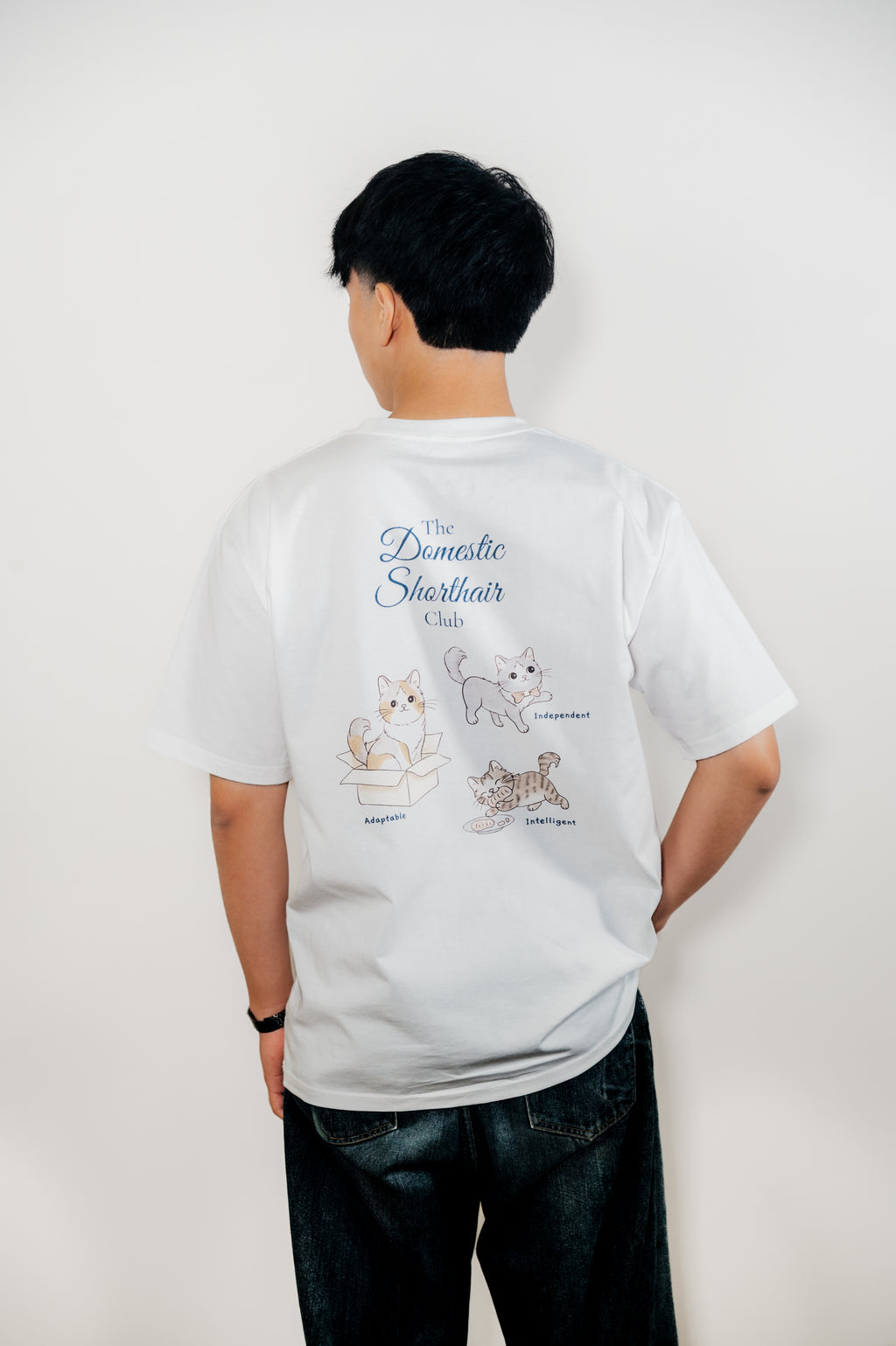 The Domestic Shorthair Club