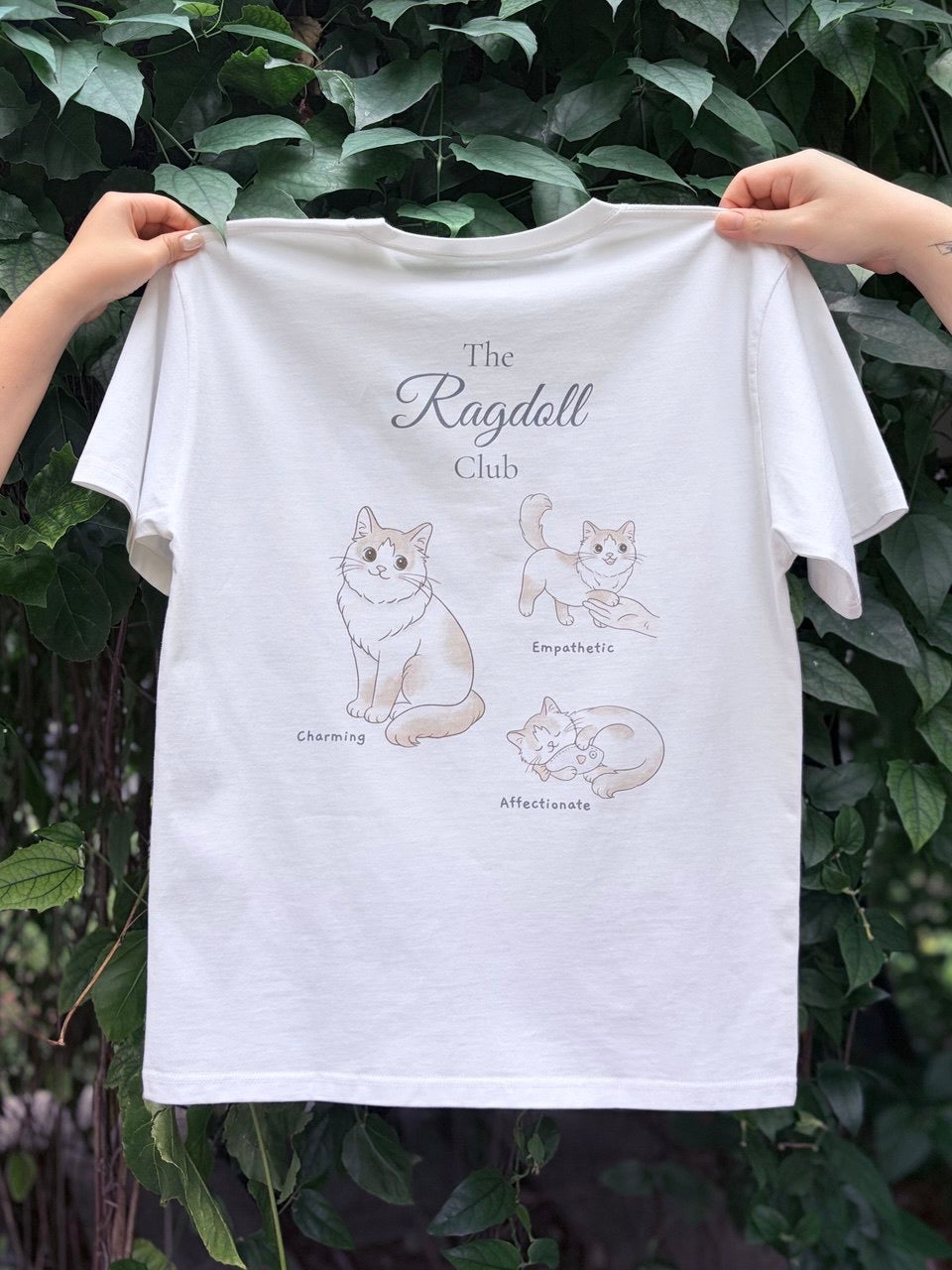 The Ragdoll Club