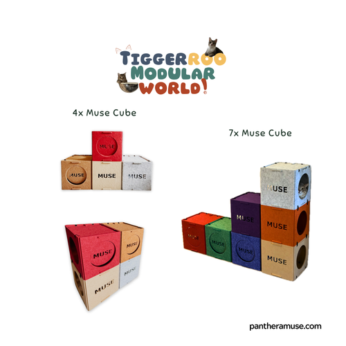 Expansion Kit: 2x Muse Cube (Pre-Order)